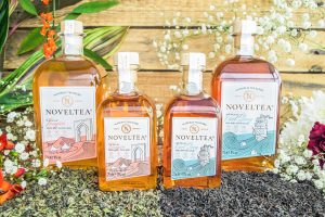 Dance City Season Launch 2019 sponsored by NOVELTEA