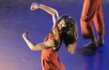 Daisy Dancer - Dance City